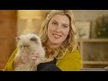 People Who Hate Cats Live With Cats For A Week // Presented By BuzzFeed & Rachael Ray Nutrish