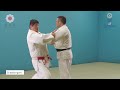 Shohei Ono's DEVASTATING O-Soto-Gari explained