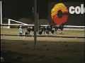 Harness Racing Accident,Harold Park-24/04/1997 (Baramac-M.C.Rolfe)