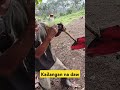 Kailangan na daw palitan