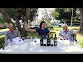 Tasting of easy-to-find cheap wines