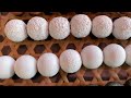 Easiest Way to Paint Wooden Beads / Quick and Easy DIY Lesson