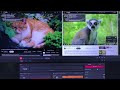 Watching two 8K youtube videos at the same time on 7900 XTX & 5700X