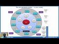 Introduction to Payments Systems - Open Loop Models