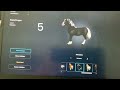 Which horse do I need to buy?