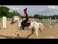 Some of my recent lessons! #horses