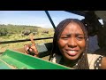 Lion Hunting at Masai Mara | A MIND BLOWING African Safari! - TheFisayo