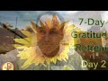 7-Day Gratitude Retreat, Day 2: Dream “Rest in peace, my love…” (Ep. 29)