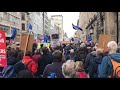 2019-03-23_160434 On the 'Revoke Article 50' march in Pall Mall