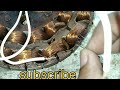 ceiling fan repair || ceiling fan coil repair || BP YouTube