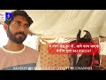बिकाऊ घोड़े - पार्ट 11 Bachhwari stud farm 7976183934 Balotra Tilwada  Mela Horse Market 2024  Video