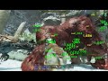 Fighting Alpha Megapithecus on Ark Survival Ascended