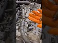 how to replace sparks plug on a Toyota V6