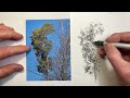 Draw Trees Easily with Hatching