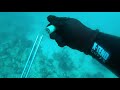Lionfish Hunting - Salty Spines November '21 Derby - Dive 2