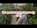 মাটি নেই কাঠের গুঁড়ো ব্যবহার করে ছাদে বিশাল সবজি বাগান, সবজি কিনে খেতে হচ্ছে না