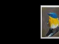 Pintando un ave con acrílico / Art Pop Gallery