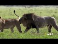 Mother of Lions (Full Episode) | Savage Kingdom