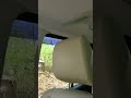 Chickadee Attacks The Land Rover