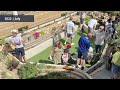 Building a Large Scale Model Railway in our Garden