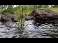 Water Willamette River From This Landscape ASMR