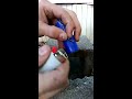 Bic Lighter Experiment