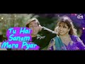 Tu Hai Sanam Mera Pyar Mera Dil Tera Aashiq | Salman Khan | Madhuri Dixit | Kumar Sanu | Alka Yagnik