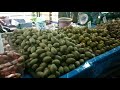 Local Farmer's Wet Market || Local Markets in Bangkok || Thailand Local Markets