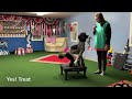 Four Feet onto Platform tutorial AKC Trick Dog Novice