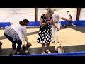 Alegria Havanese at MDKC 2024 Dog Show 2024 #2