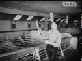 Boerenleven in Drenthe jaren '50