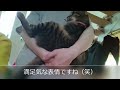 【束縛】朝から抱っこされて甘えてくるジロウくん　Jiro is cuddling and being hugged in the morning.