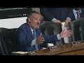 Ted Cruz, Secret Service director spar at Senate Judiciary hearing on Trump assassination attempt