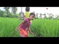 SUASANA PEDESAAN | SAWAH KENANGAN (remembers childhood in the rice fields) | (Sub)