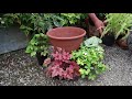 A Pot of Shade Loving Plants