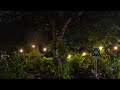 Gentle Rain Sounds in the Middle of the Night at a Garden in Indonesia | Rain Sounds Without Thunder