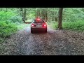 Driving trough forest