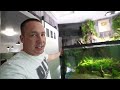FULLY AUTOMATIC WATER CHANGES for my aquariums The king of DIY