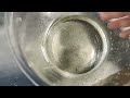 Making Potassium Nitrate: Forbidden Chemistry part 1 #chemistry #chemical