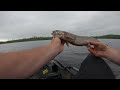 Loon Lake Boundary Waters Lake Trout