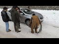 Compilation of Car Crash and Slip & Slide Winter Weather