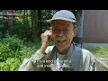 Herbal Symphony - NHK WORLD-JAPAN