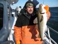 CELTIC QUEST- COD LIMIT!!!