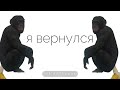 я вернулся