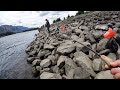 Epic Shad Fishing at Bonneville Dam 06/16/2024 | Mastering Shallow Water Shad Fishing Techniques!