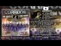 Banda Renovación - Corridos En Vivo Vol  2 (Disco Completo 2017)