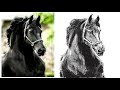 [ENG]말 그리기 Horse drawing/프로크리에이트 Procreate