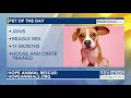 Pet of the Day: May 16