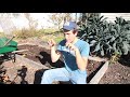 4 Simple Ways to Break Up & Soften Hard Soil Naturally