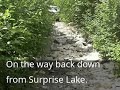 Surprise Lake trail near Mt. Ranier